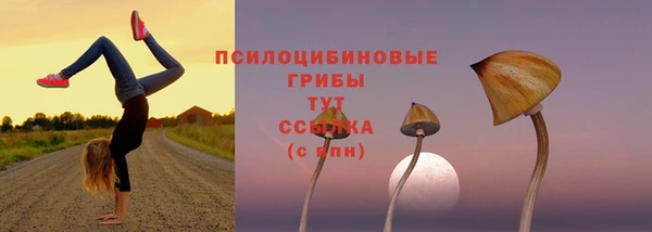 таблы Медногорск