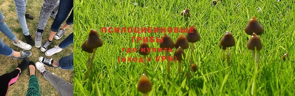 прущий лед Магас