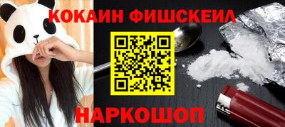 гашик Камышлов