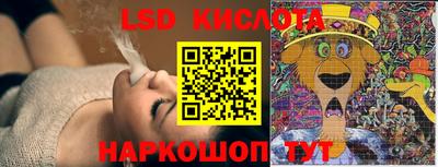 гашик Камышлов