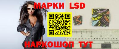 гашик Камышлов