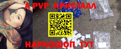 гашик Камышлов