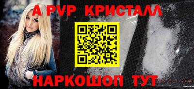 гашик Камышлов