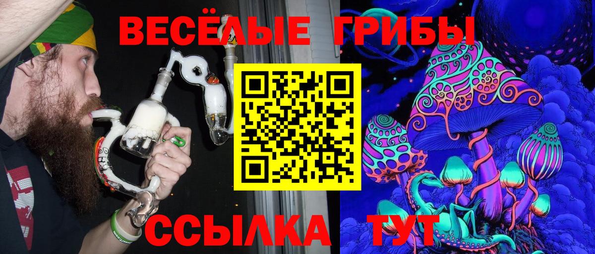 Электросталь  Псилоцибиновые грибы ЛСД  Галлюциногенные грибы прущие грибы  Вход с VPN 