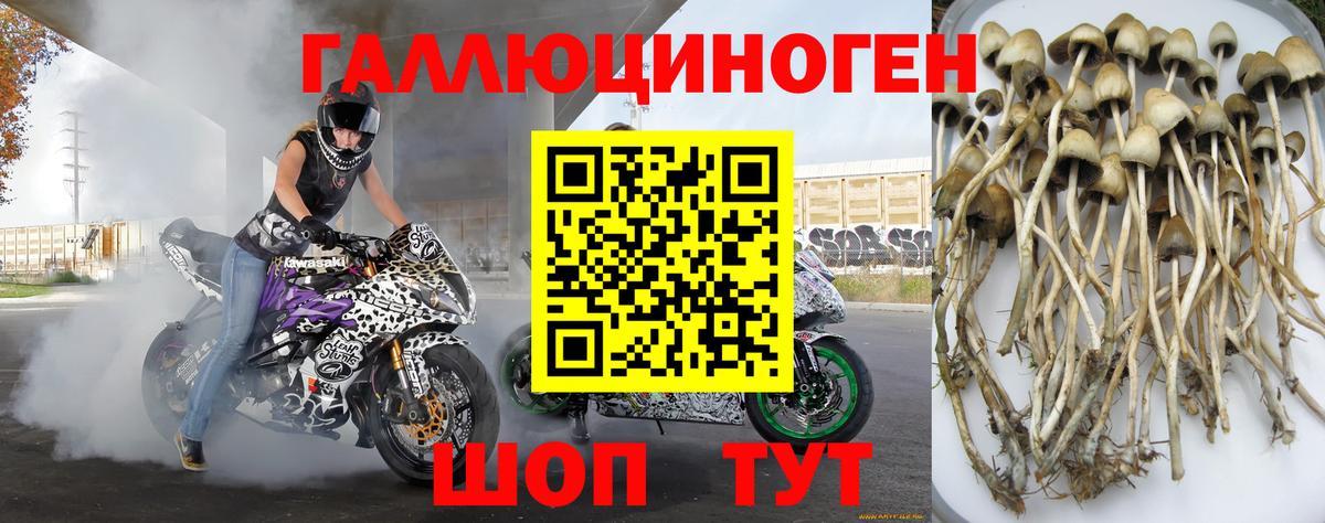 Псилоцибиновые грибы Psilocybine cubensis  сколько стоит  Галлюциногенные грибы Psilocybine cubensis  Электросталь 